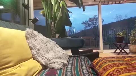 sexylover81ch online show from April 2026 06:13:02 PM