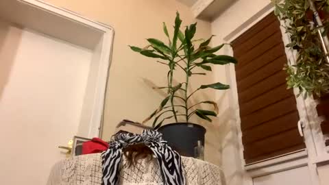 Anya online show from January 2025 08:17:01 PM