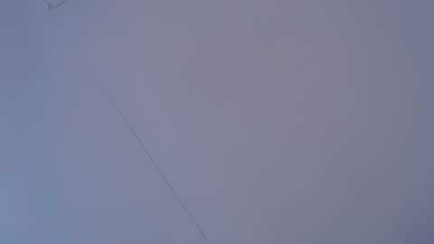 Snapshot of sexyycutedoll chatting on October 2025 02:16:01 PM sexyycutedoll online show from October 2025 02:16:01 PM