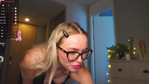 Snapshot of shadowladyyy chatting on January 2025 05:48:02 AM Sindy and Nancy  Next stream 1 December  online show from January 2025 05:48:02 AM