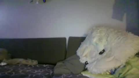 Snapshot of shafte1981 chatting on June 2026 10:01:02 PM shafte1981 online show from June 2026 10:01:02 PM