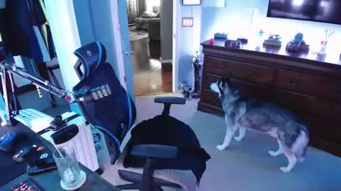 shaftyone4u online show from January 2025 09:40:02 PM