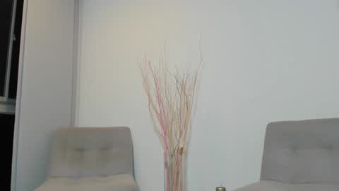 onlyfans shanabellucy online show from February 2025 11:37:02 PM