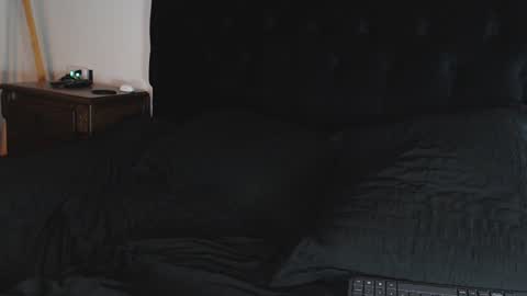 Snapshot of shane_clay chatting on December 2024 11:57:02 PM Shane online show from December 2024 11:57:02 PM