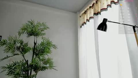 shazam online show from December 2025 01:39:02 PM