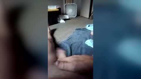 sheatslandwalker online show from June 2026 11:49:02 AM