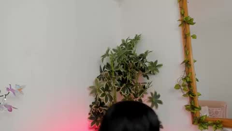 Shego  online show from September 2025 09:50:01 PM