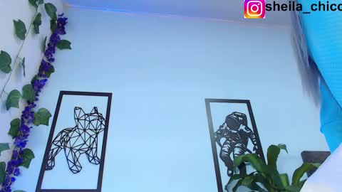 SHEILA  online show from February 2025 12:36:02 AM