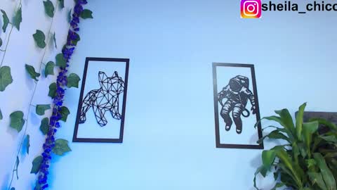 SHEILA  online show from February 2025 02:25:02 PM