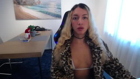 Snapshot of shellsy_hans chatting on December 2024 09:21:01 AM Shellsy H   online show from December 2024 09:21:01 AM