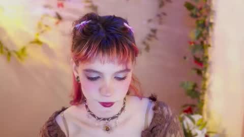 Snapshot of shiny_jail chatting on February 2026 10:21:01 PM JennyMira THANK YOU FOR 77 777 online show from February 2026 10:21:01 PM