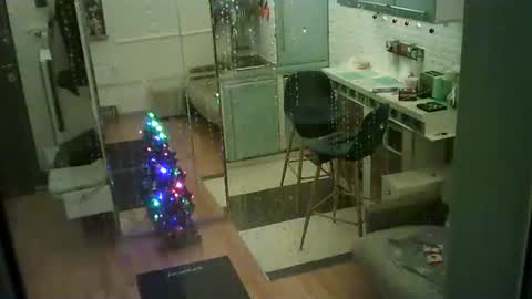 shirogane2004 online show from January 2026 07:37:02 PM