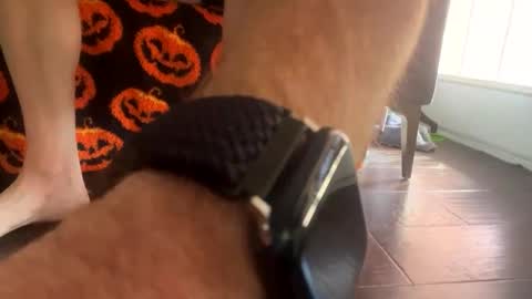 shortshortsman online show from October 2025 05:10:01 PM