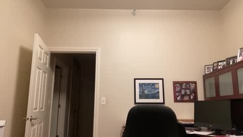 Chicago Guy online show from January 2025 03:17:02 AM