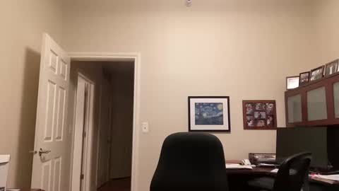 Chicago Guy online show from February 2025 04:31:01 AM