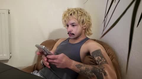 Snapshot of shy_boy17 chatting on February 2026 02:47:01 PM your shy boy online show from February 2026 02:47:01 PM