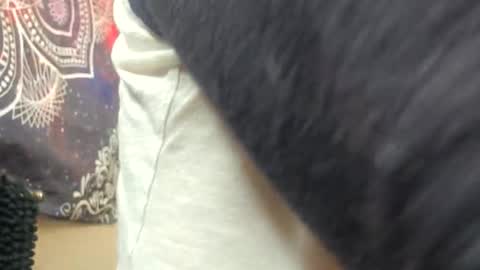 Snapshot of shy_college_girl chatting on May 2026 07:45:02 PM Aurora Wolfe Shy College Girl Top 16 of all OF Creators online show from May 2026 07:45:02 PM