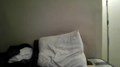 sia355 online show from December 2024 11:28:02 AM