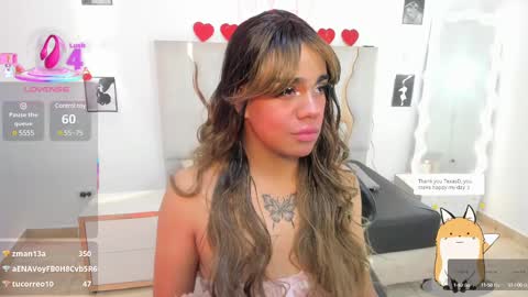 siam online show from March 2025 08:54:02 AM