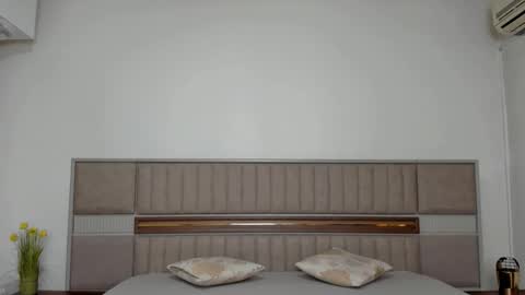 Snapshot of sierra_halle chatting on November 2025 10:12:01 PM SIERRA online show from November 2025 10:12:01 PM