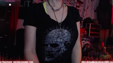 Snapshot of silentmary chatting on September 2025 03:06:02 AM Allmylinkssilentmary666 online show from September 2025 03:06:02 AM