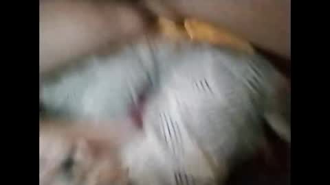 Snapshot of sinbook611 chatting on October 2025 10:58:02 AM sinbook611 online show from October 2025 10:58:02 AM