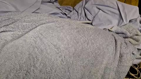 Snapshot of sinseason chatting on December 2024 09:22:01 AM Sinseason online show from December 2024 09:22:01 AM