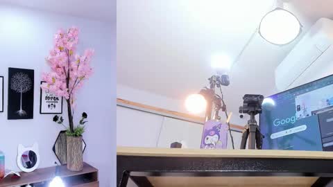 Siouxsie online show from February 2026 11:37:02 AM