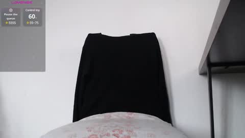 Snapshot of sir_stroke_a_lot_ chatting on January 2025 10:42:02 AM Sebastian online show from January 2025 10:42:02 AM