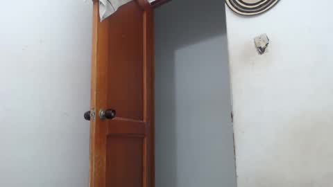 Snapshot of sirajones chatting on March 2025 02:30:02 AM sirajones online show from March 2025 02:30:02 AM