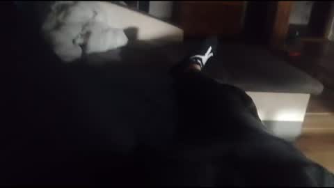 siren666777 online show from October 2025 05:36:02 PM