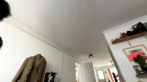 Snapshot of siriss_boyrag chatting on February 2026 02:14:01 PM siriss_boyrag online show from February 2026 02:14:01 PM