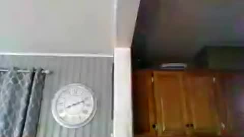 Snapshot of sirmike80 chatting on July 2026 12:11:02 PM SirMike80 online show from July 2026 12:11:02 PM