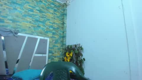 Snapshot of sirryant chatting on January 2025 01:10:01 AM SIR RYANT online show from January 2025 01:10:01 AM