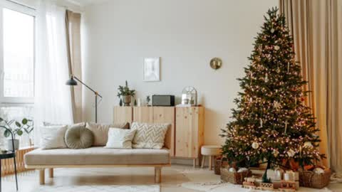 Elise online show from December 2024 02:02:01 PM