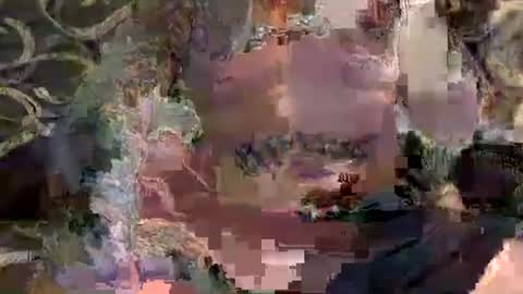Steve   Jane online show from February 2026 03:07:02 AM