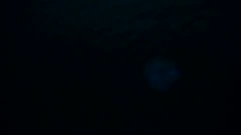 Skarlet online show from October 2025 02:20:02 AM