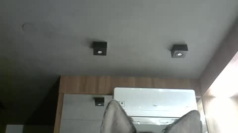 skinnykittencam online show from November 2025 04:13:02 AM