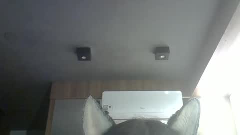 skinnykittencam online show from March 2026 09:26:01 AM