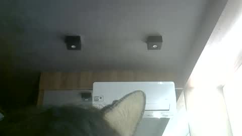 Snapshot of skinnykittencam chatting on June 2026 09:30:01 PM skinnykittencam online show from June 2026 09:30:01 PM
