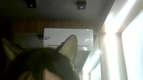 Snapshot of skinnykittencam chatting on June 2026 05:38:02 PM skinnykittencam online show from June 2026 05:38:02 PM