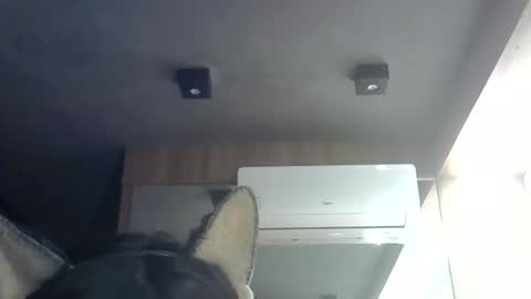 Snapshot of skinnykittencam chatting on June 2026 04:51:01 PM skinnykittencam online show from June 2026 04:51:01 PM