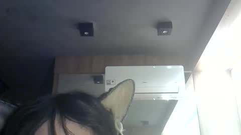 Snapshot of skinnykittencam chatting on June 2026 12:54:01 AM skinnykittencam online show from June 2026 12:54:01 AM