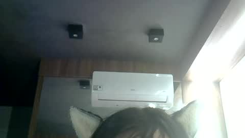 Snapshot of skinnykittencam chatting on June 2026 03:39:01 AM skinnykittencam online show from June 2026 03:39:01 AM