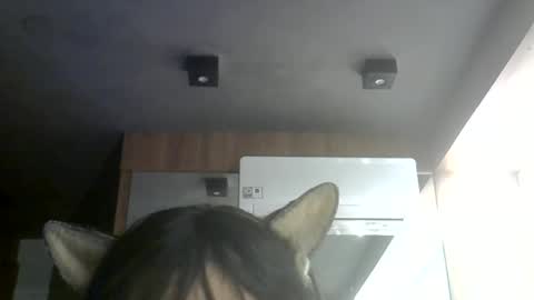 Snapshot of skinnykittencam chatting on July 2026 06:47:02 AM skinnykittencam online show from July 2026 06:47:02 AM