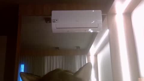 Snapshot of skinnykittencam chatting on July 2026 08:02:01 PM skinnykittencam online show from July 2026 08:02:01 PM