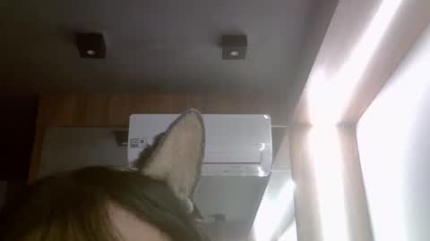 Snapshot of skinnykittencam chatting on July 2026 11:50:01 AM skinnykittencam online show from July 2026 11:50:01 AM