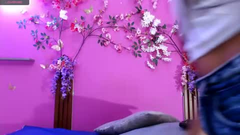 Snapshot of skinnysofia18 chatting on June 2026 01:48:01 PM sofia online show from June 2026 01:48:01 PM