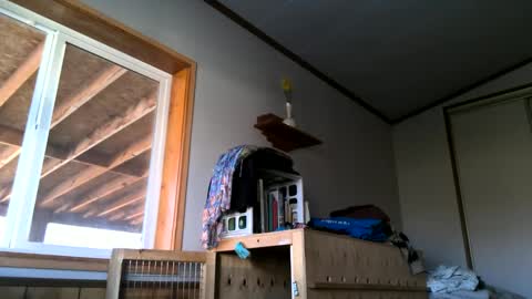 Snapshot of skinnystrong chatting on January 2025 10:10:01 PM skinnystrong online show from January 2025 10:10:01 PM