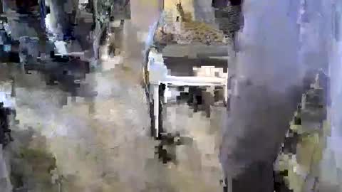 sledge2021 online show from November 2025 08:14:01 PM